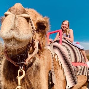 Meet your Posher, Maizy